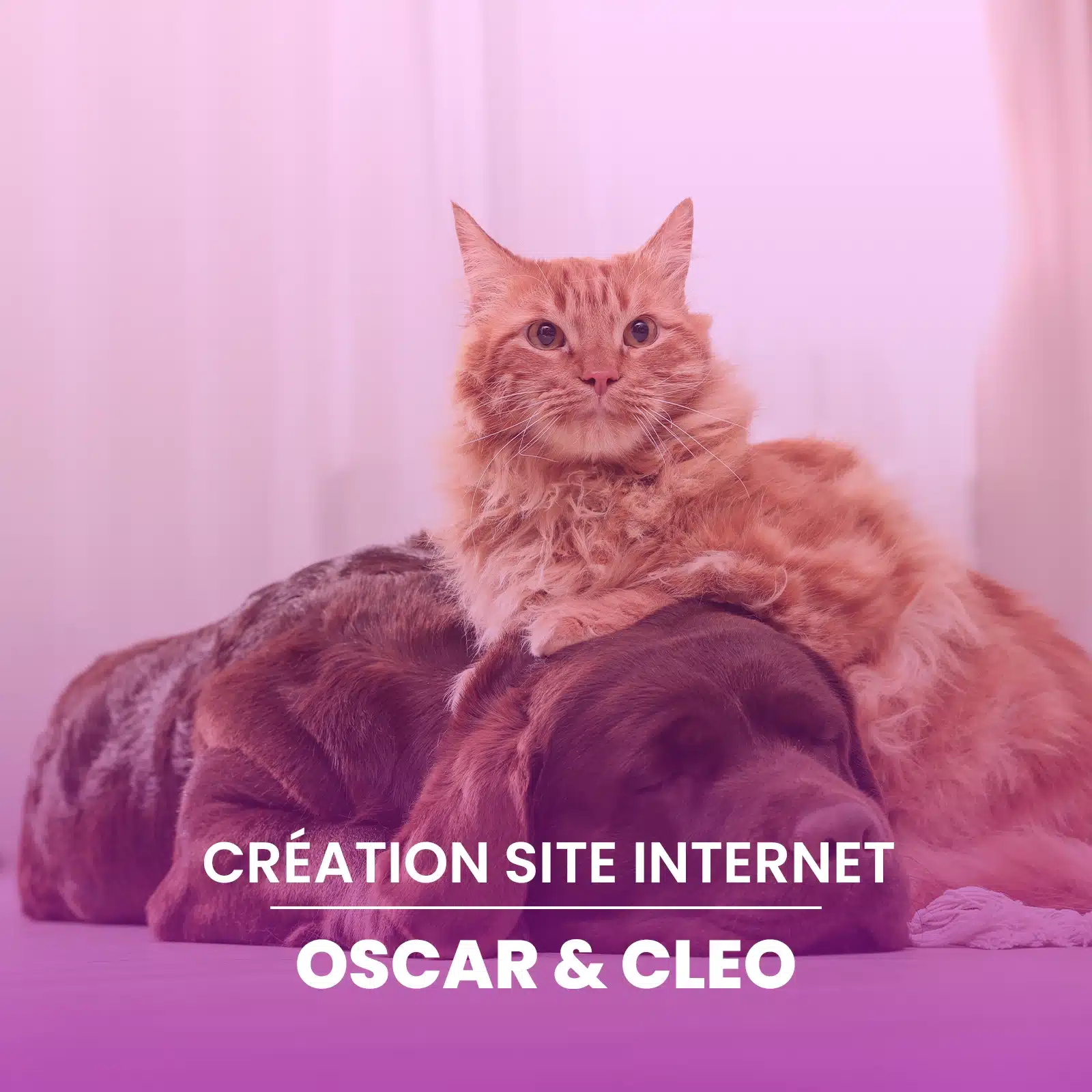 Création du site e-commerce Shopify Oscar & Cléo pour la vente de produits pour chiens et chats